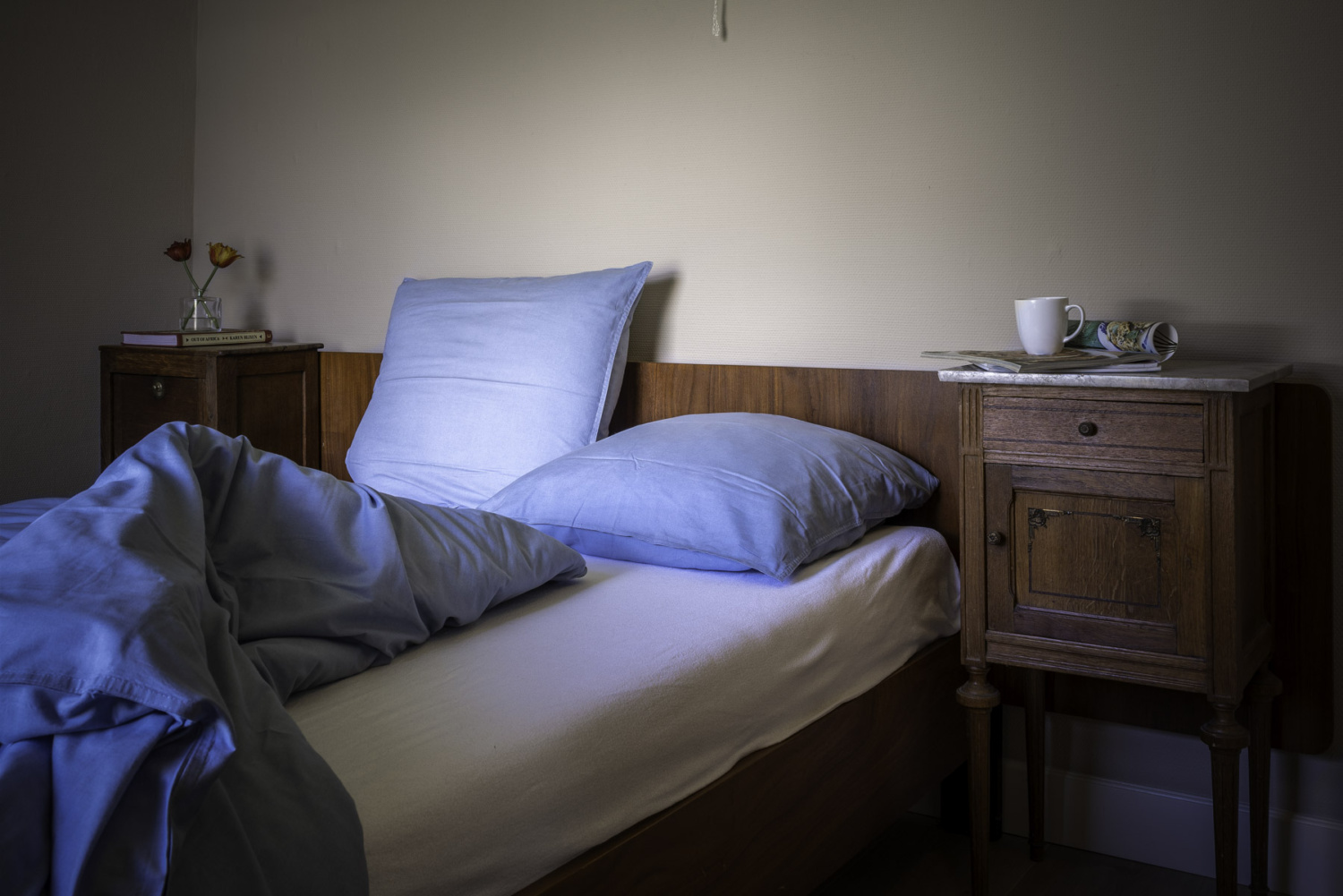 6 persoons vakantiehuis met sauna te huur in Graauw Zeeland naast Land van Saeftinghe